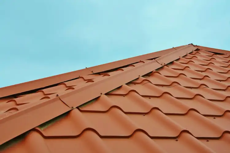 Residential Roof Coating
